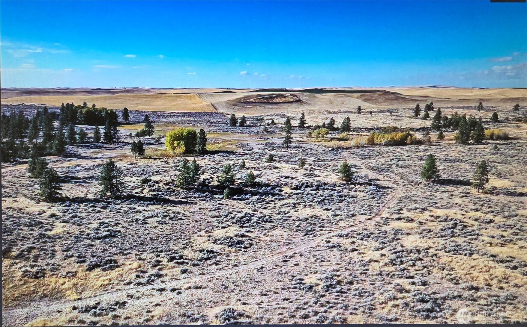 0 South Harrison Road West Edwall, WA 99008 - Photo 14 of 29 a view of a dry yard with large trees