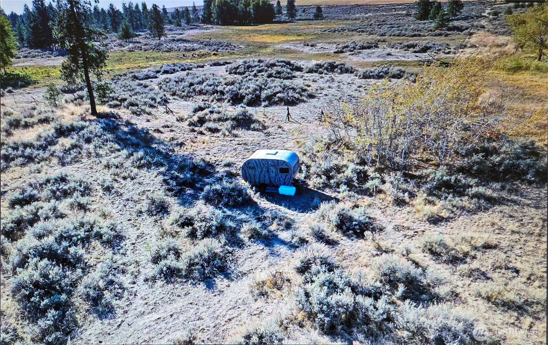 0 South Harrison Road West Edwall, WA 99008 - Photo 15 of 29 a view of a yard with a yard