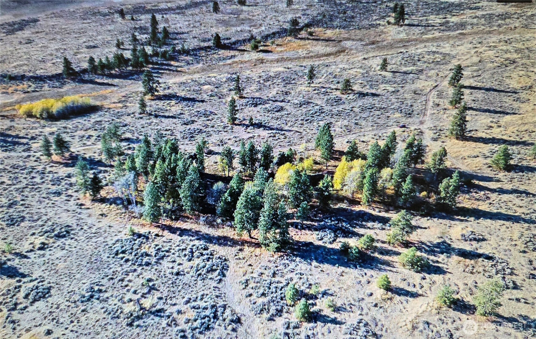 0 South Harrison Road West Edwall, WA 99008 - Photo 17 of 29