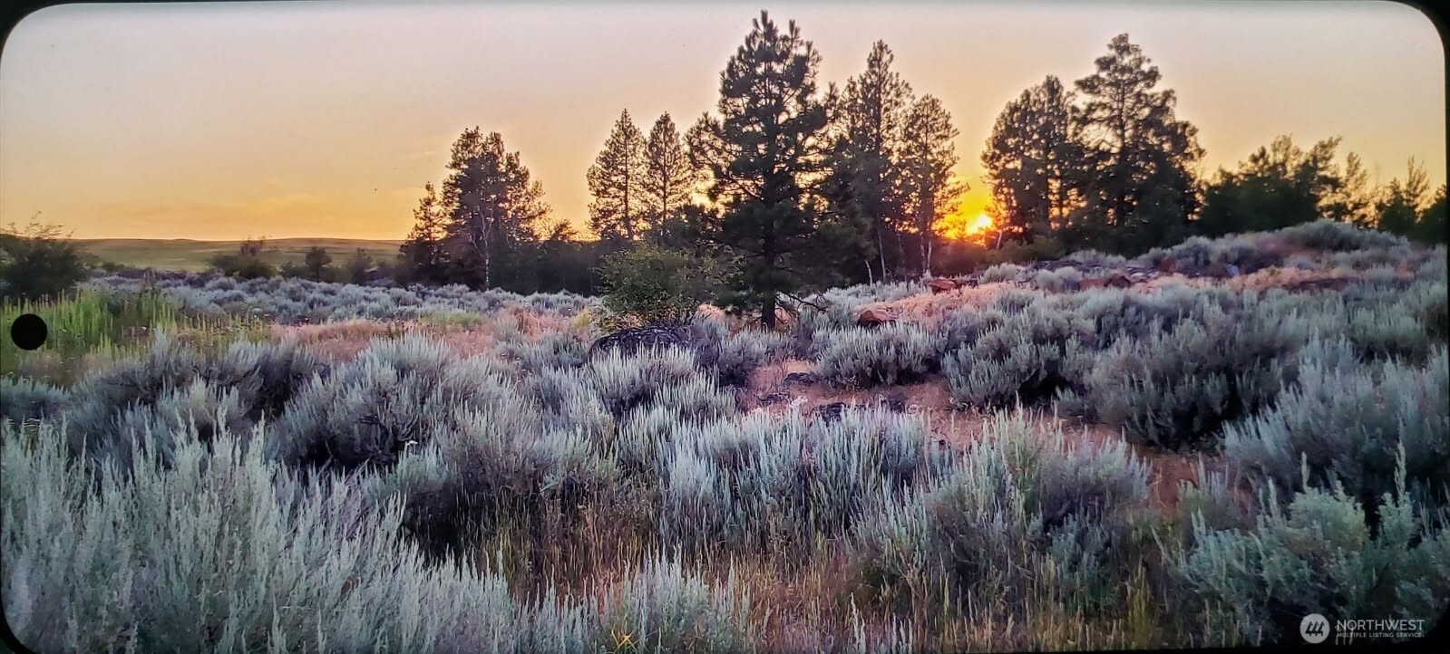 0 South Harrison Road West Spokane, WA 99224 - Photo 2 of 15 a view of a lush green forest