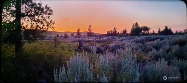 0 South Harrison Road West Edwall, WA 99008 - Photo 2 of 29