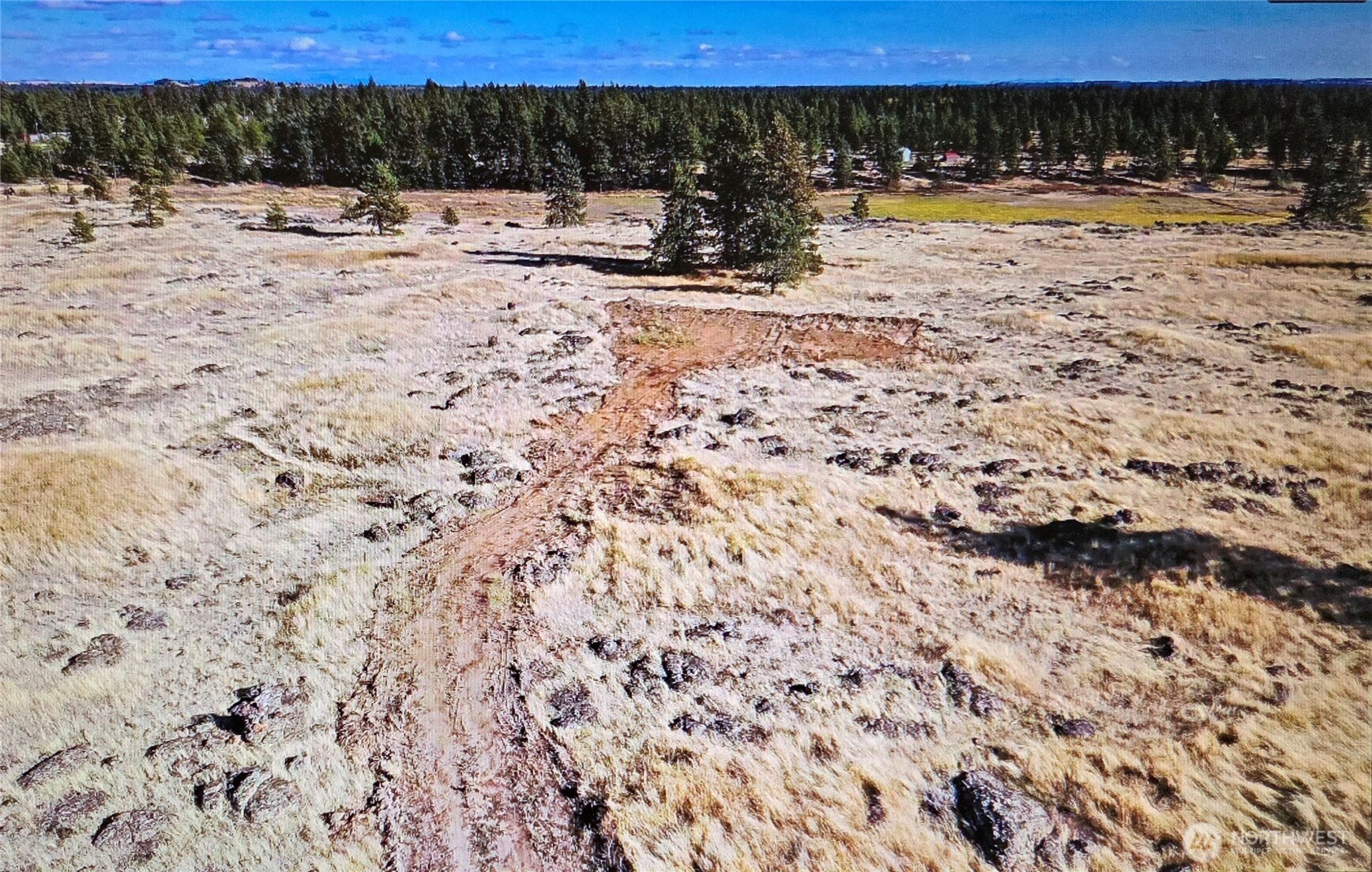 0 South Harrison Road West Edwall, WA 99008 - Photo 22 of 29 a view of swimming pool with a yard