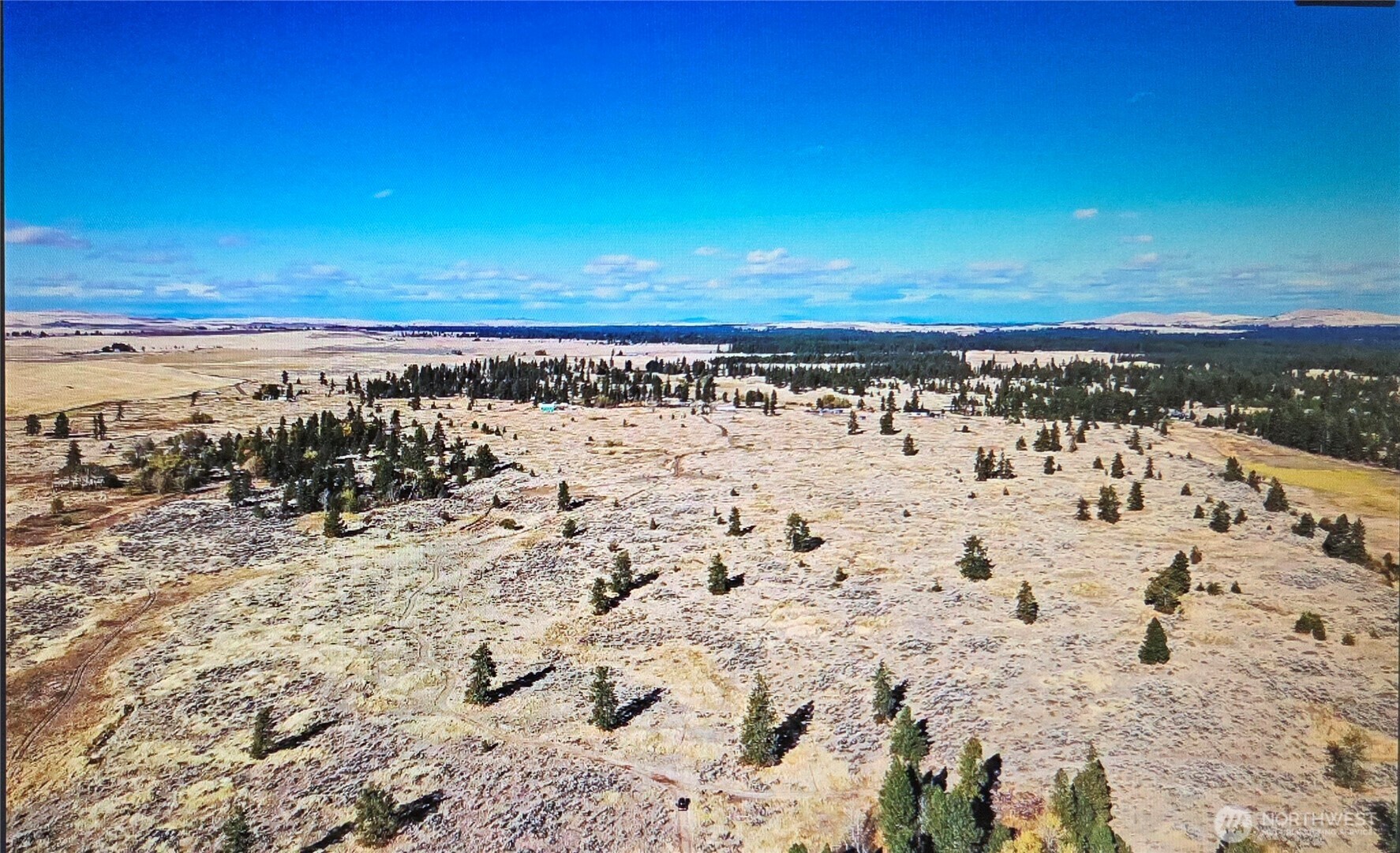 0 South Harrison Road West Edwall, WA 99008 - Photo 26 of 29 a view of a beach with a building in the back