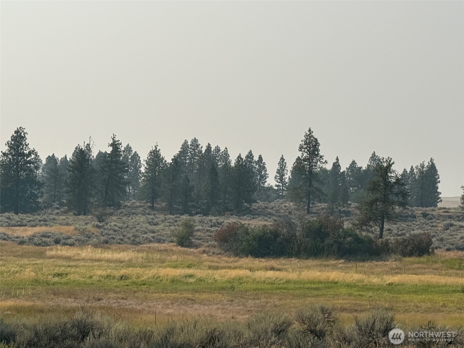 0 South Harrison Road West Edwall, WA 99008 - Photo 5 of 29 a view of a town with trees in the background