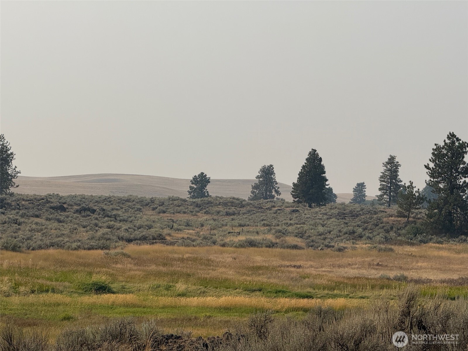 0 South Harrison Road West Edwall, WA 99008 - Photo 8 of 29 a view of beach and ocean