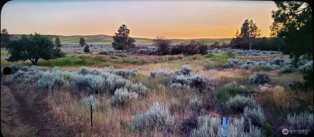 $529,500 | 0 South Harrison Road West, Spokane, WA 99224