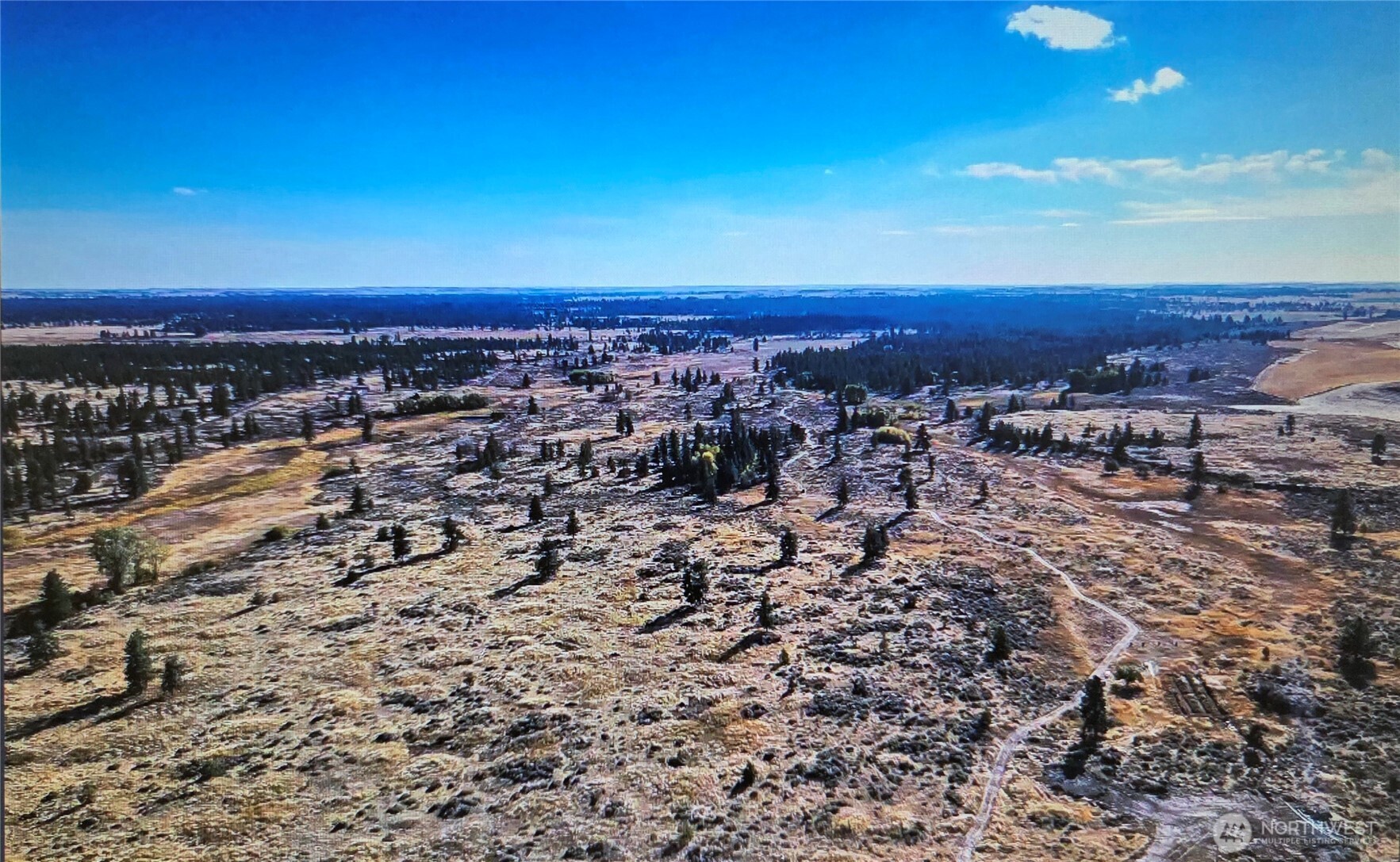 0 South Harrison Road West Edwall, WA 99008 - Photo 10 of 29