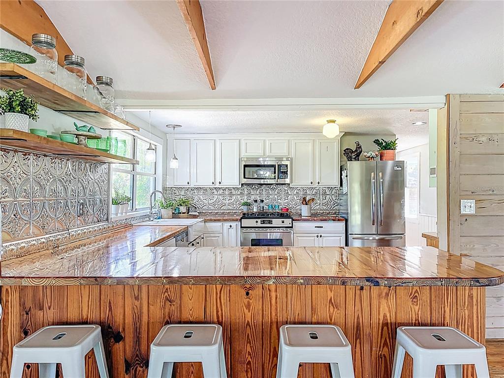 5870 Jim Davis Road Parrish, FL 34219 - Photo 17 of 39 Kitchen