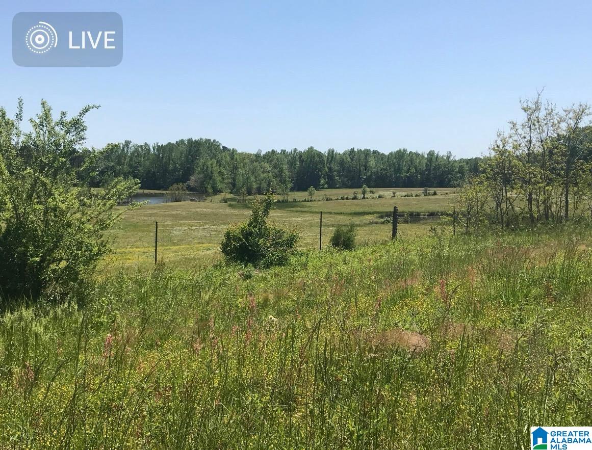 0 New Harmony Road, Unit 35 ACRES / Clanton, AL 35045 - Photo 21 of 21