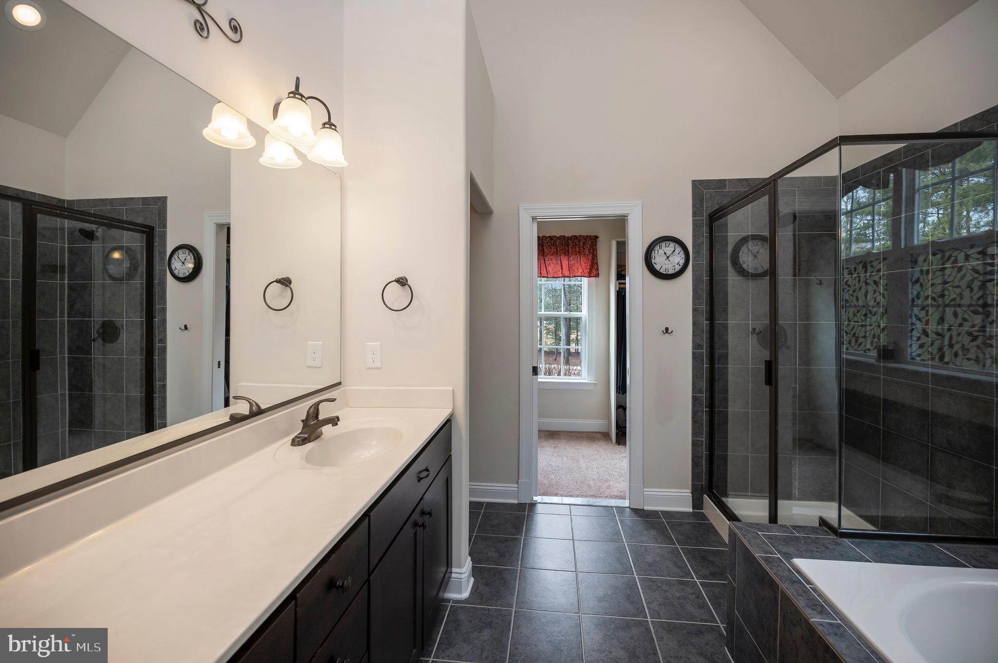 23145 Walker's Branch Road Unionville, VA 22567 - Photo 25 of 48 a bathroom with a double vanity sink a large mirror and a shower