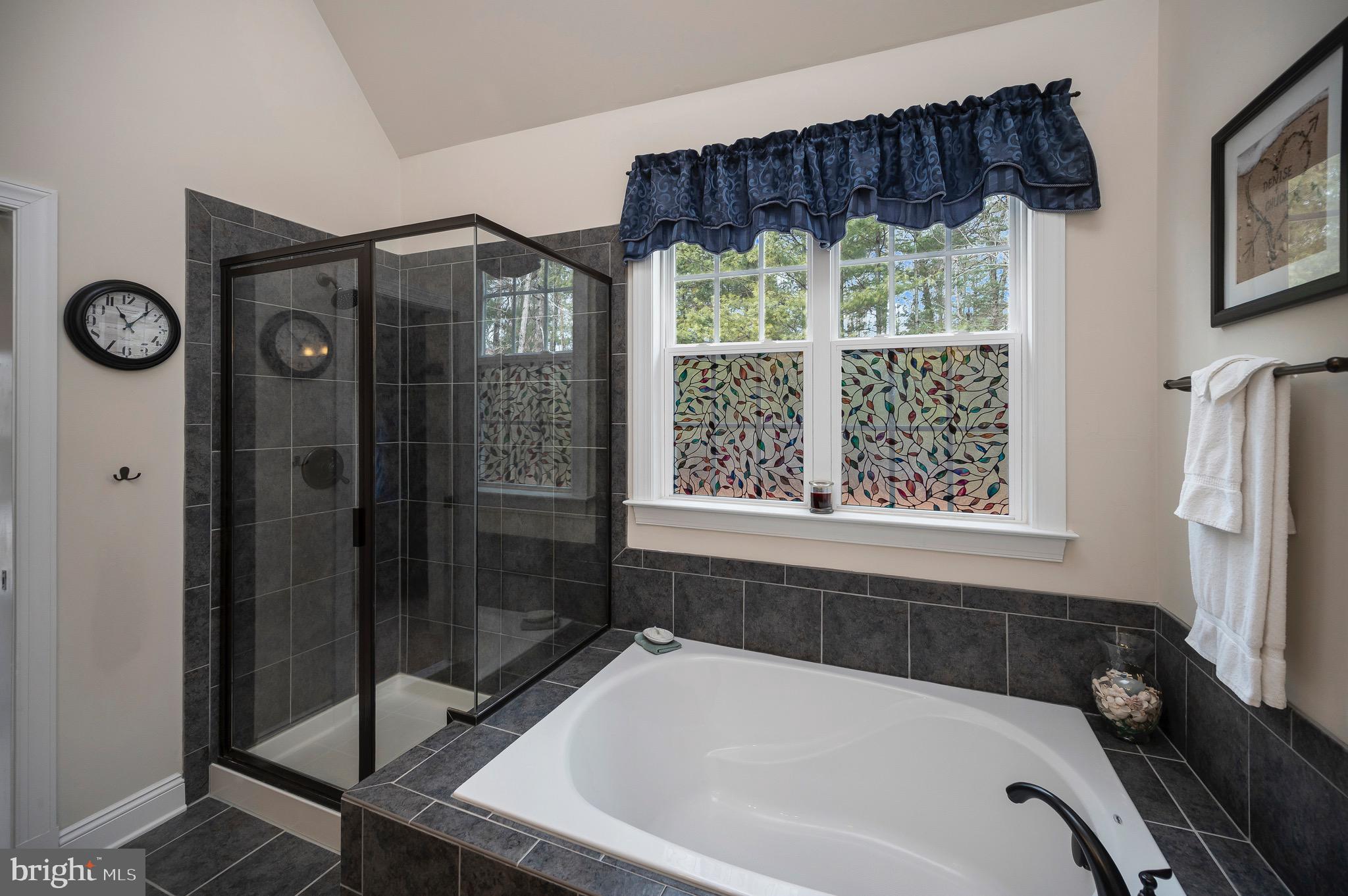 23145 Walker's Branch Road Unionville, VA 22567 - Photo 26 of 48 a bathroom with a bathtub and a shower