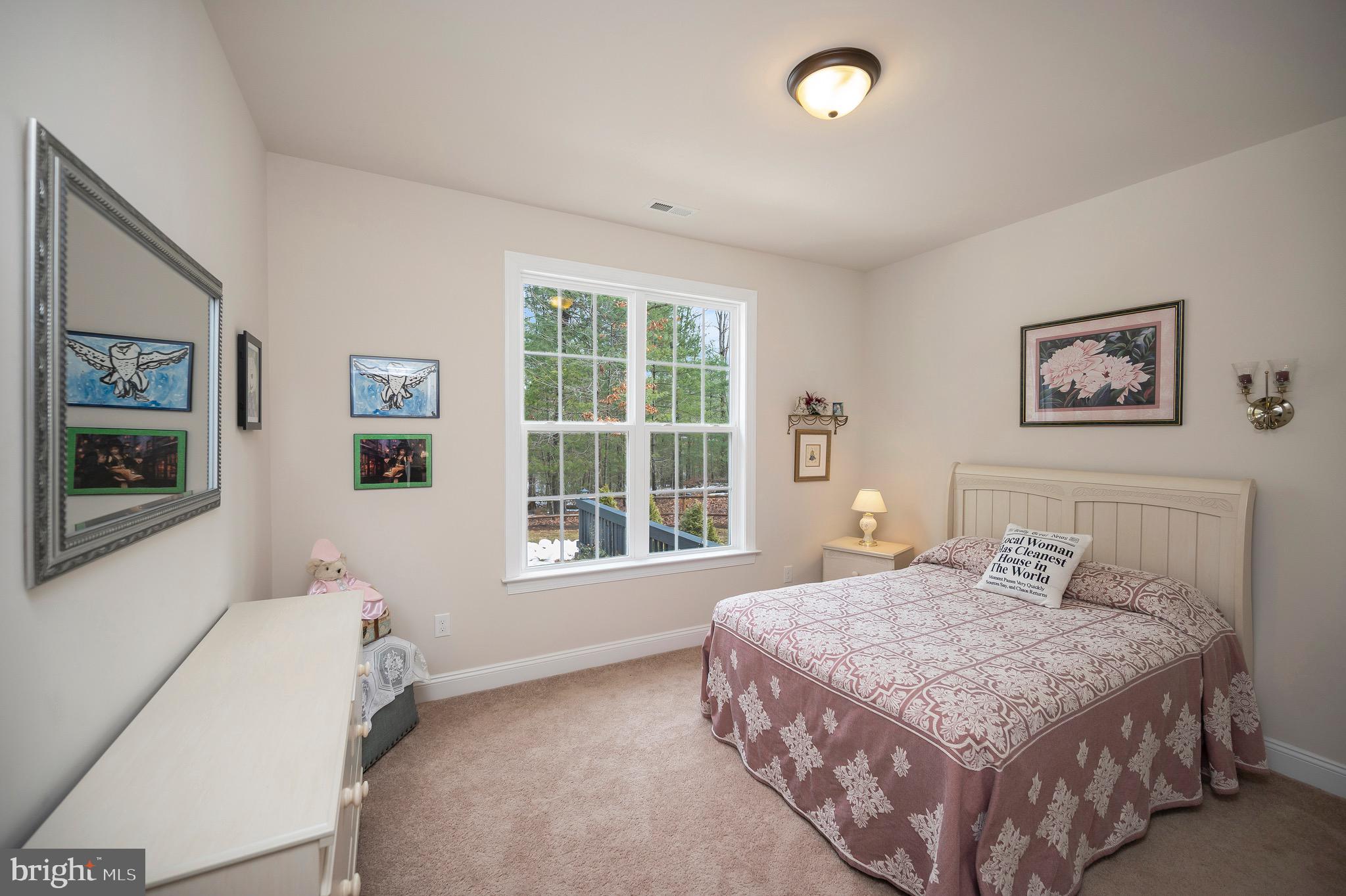 23145 Walker's Branch Road Unionville, VA 22567 - Photo 32 of 48 a bedroom with a bed and a window