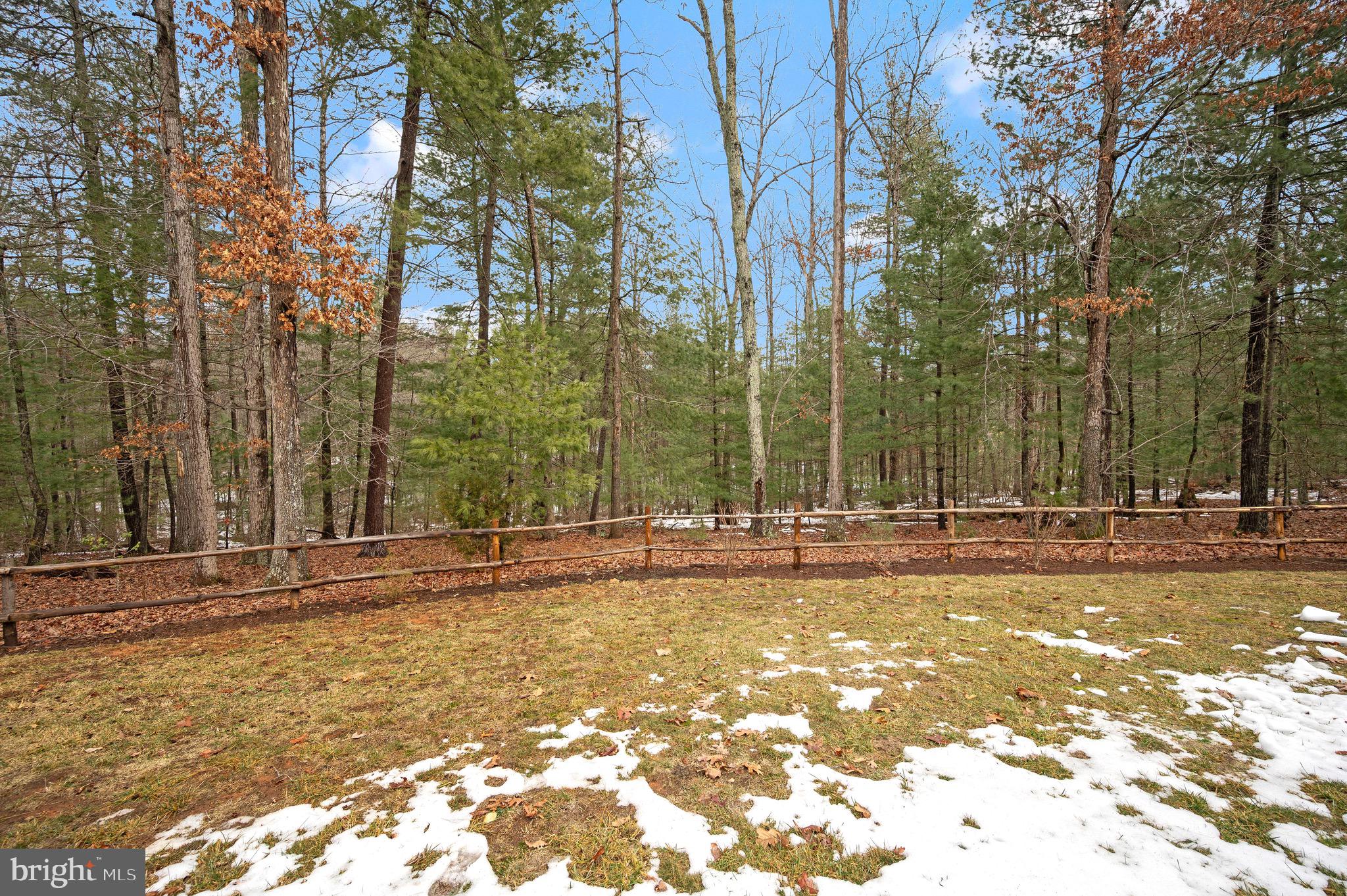 23145 Walker's Branch Road Unionville, VA 22567 - Photo 40 of 48 a view of a water fountain in the middle of a yard
