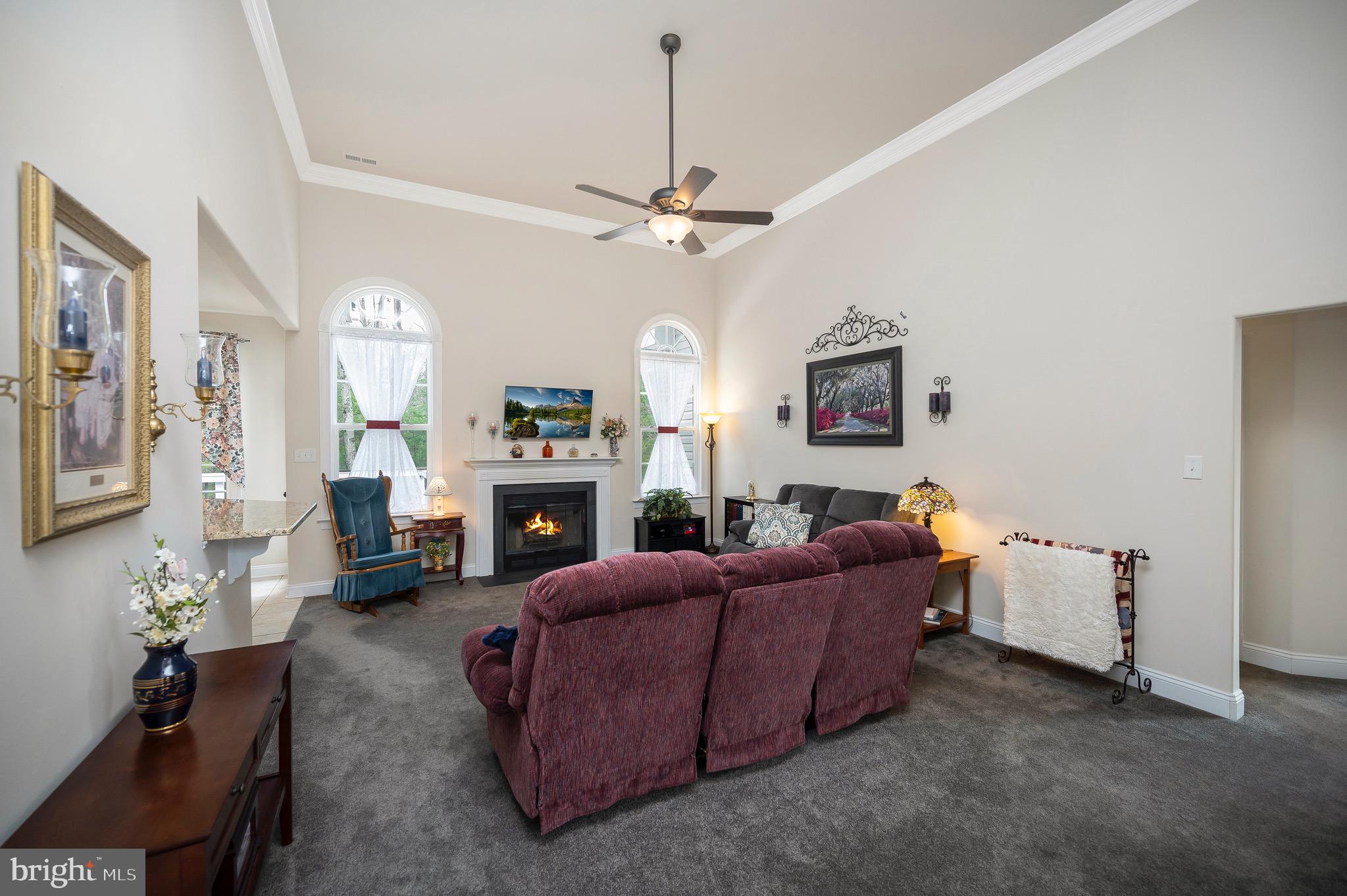 23145 Walker's Branch Road Unionville, VA 22567 - Photo 8 of 48 a living room with furniture a fireplace and a chandelier