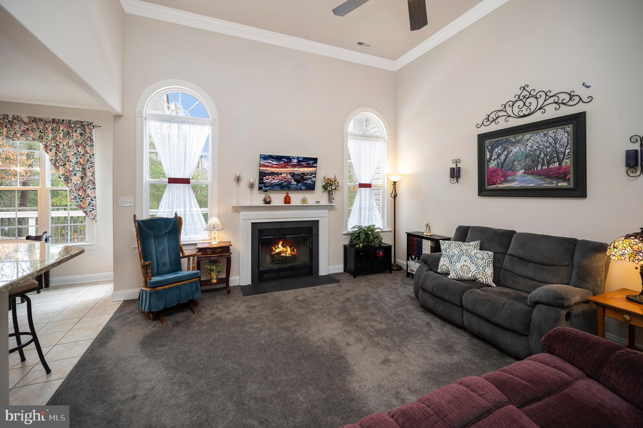 23145 Walker's Branch Road Unionville, VA 22567 - Photo 9 of 48 a living room with furniture and a fireplace