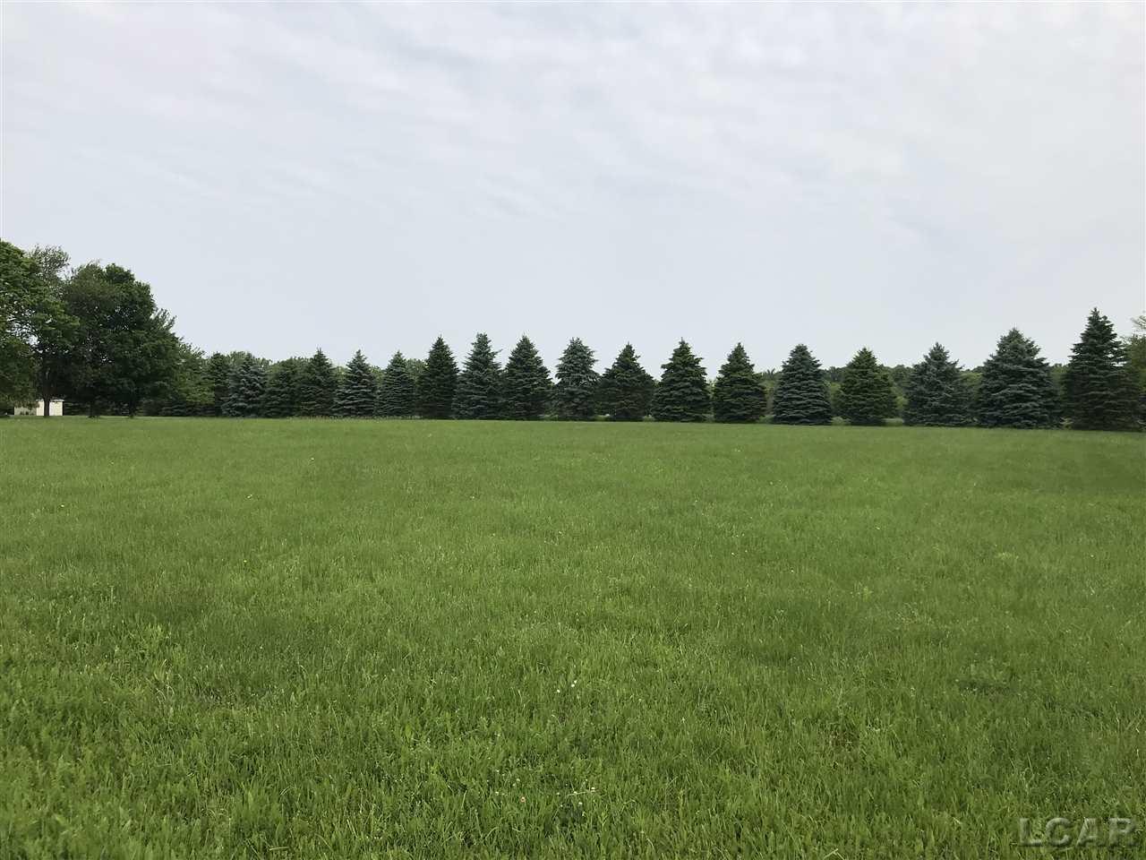 0 Country Club Road Adrian, MI 49221 - Photo 2 of 3