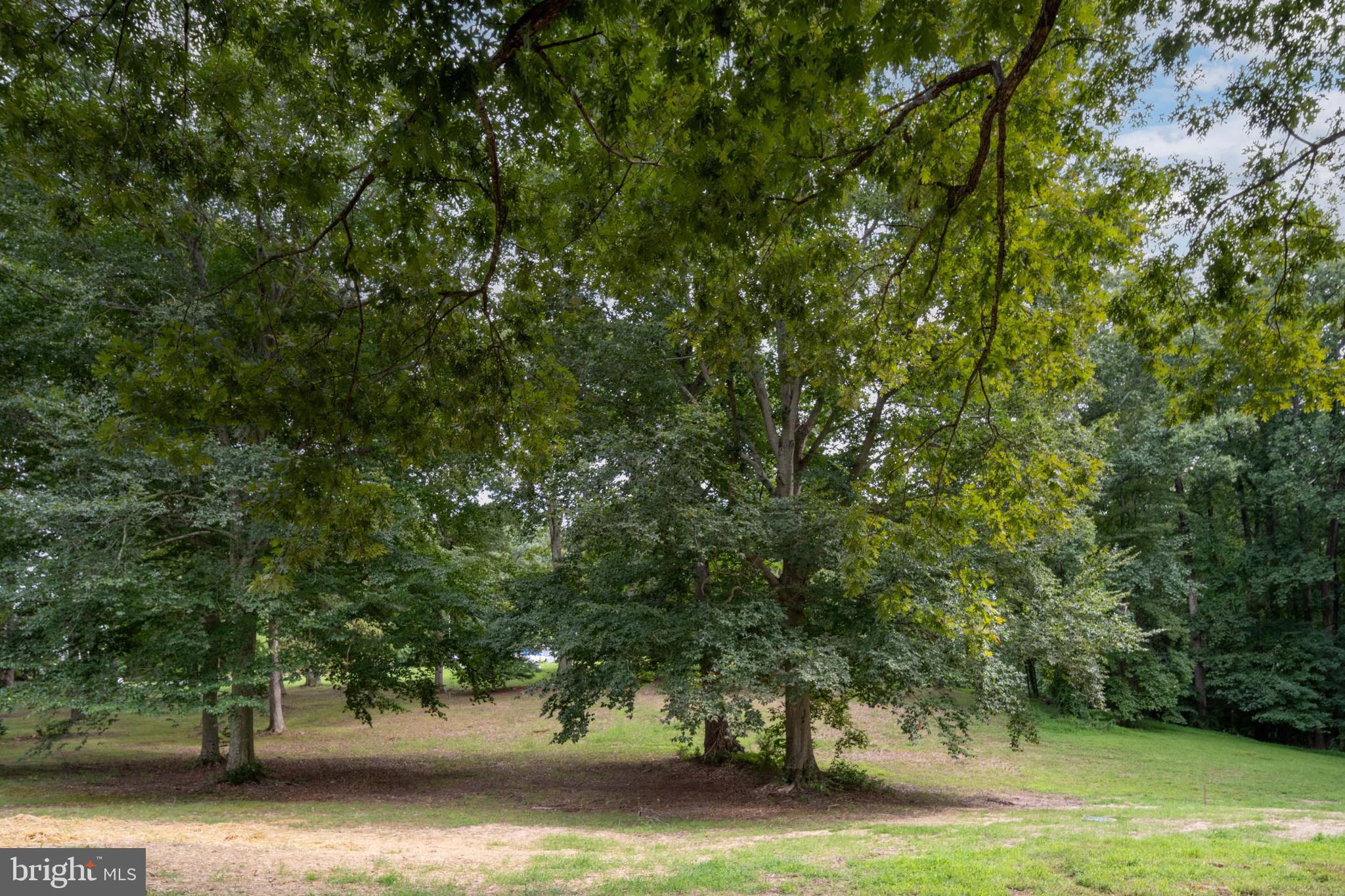 1796 Courthouse Road Stafford, VA 22554 - Photo 56 of 65 Gallery Image 56
