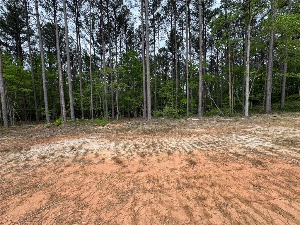 2113 North Hicks Road Toccoa, GA 30577 - Photo 27 of 28 a backyard of a house with lots of green space