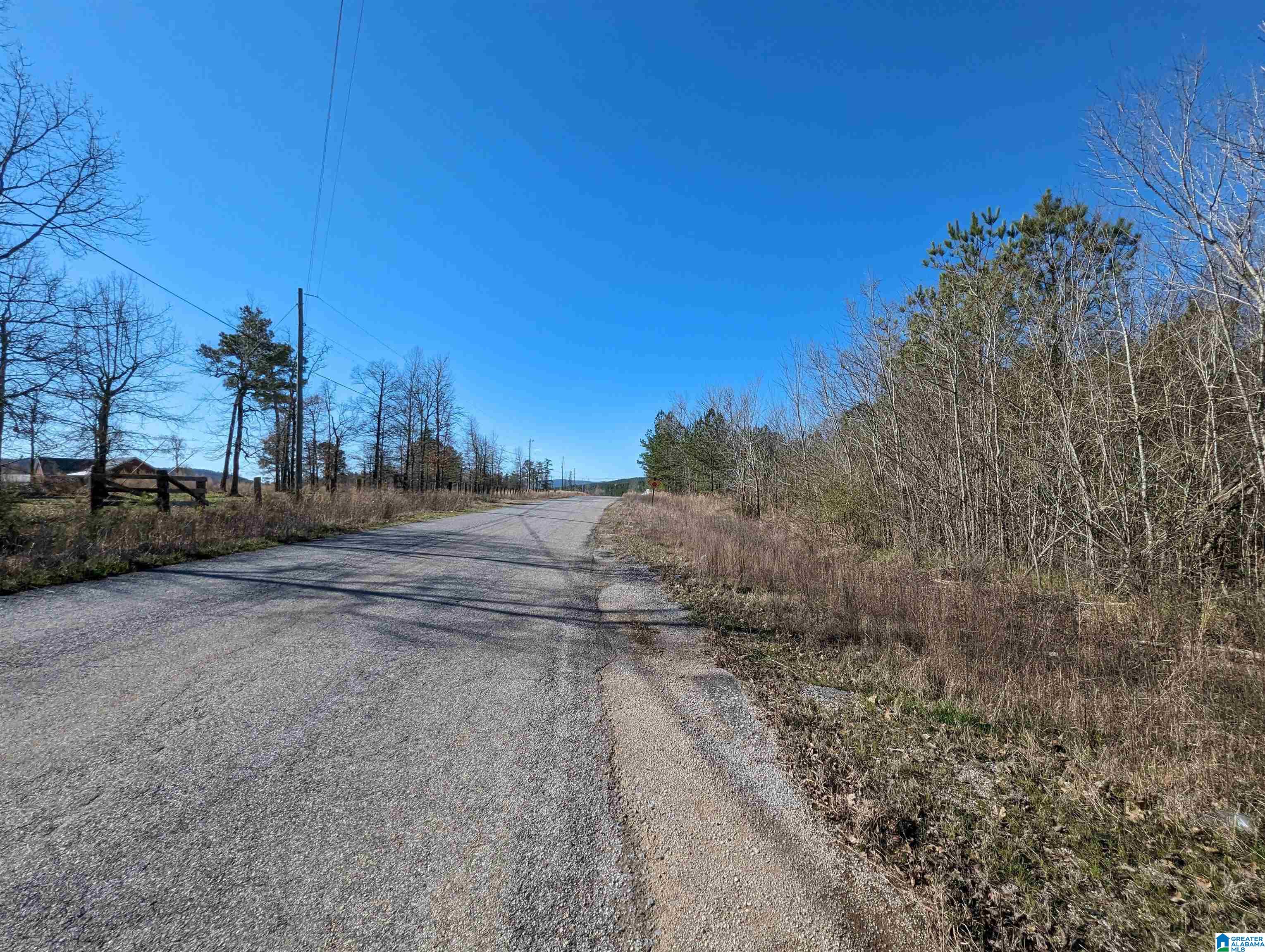 0 Chandler Springs Road Talladega, AL 35160 - Photo 5 of 35