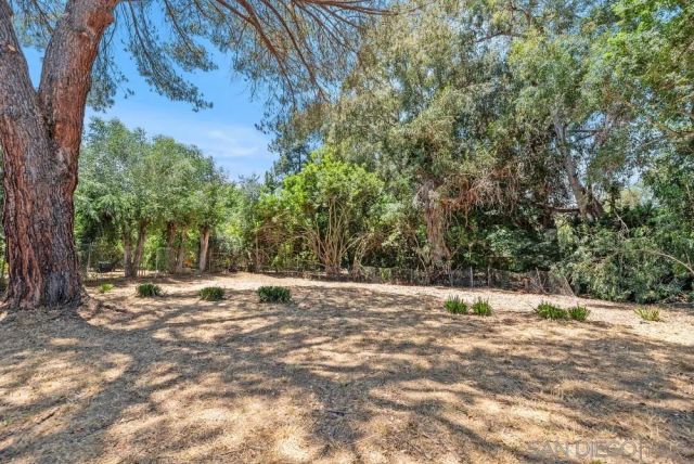 a view of outdoor space with trees