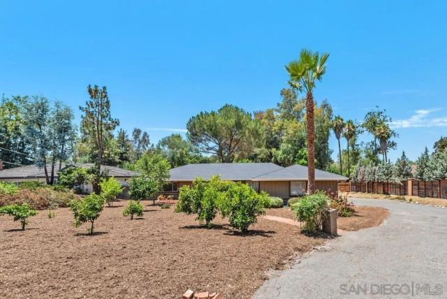 a view of a garden with a table and chairs under an umbrella