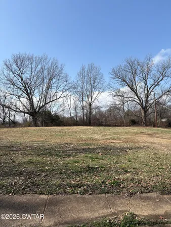 a view of large yard with large trees