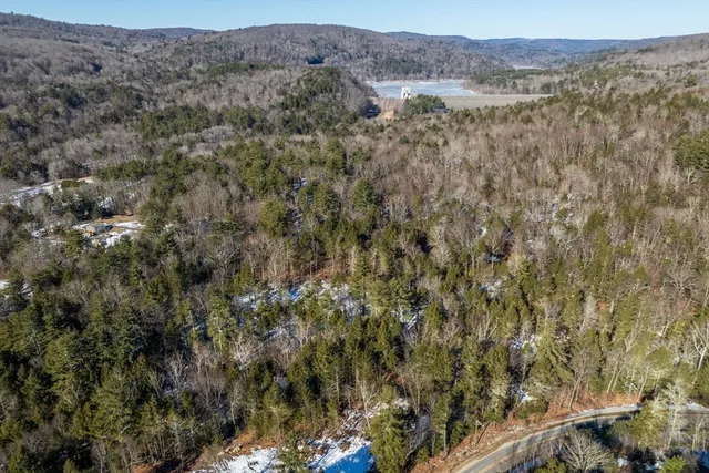 a view of a forest with mountains in the background