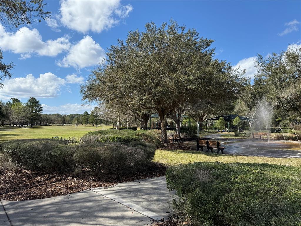 6911 Beargrass Road Harmony, FL 34773 - Photo 47 of 60 a view of a garden with trees