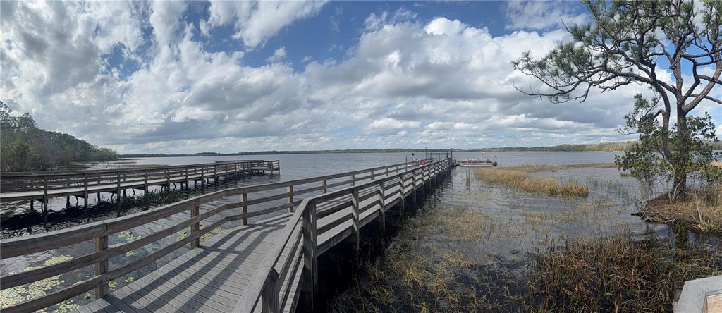 6911 Beargrass Road Harmony, FL 34773 - Photo 55 of 60