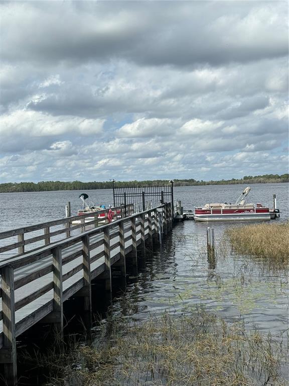 6911 Beargrass Road Harmony, FL 34773 - Photo 58 of 60 a view of a lake