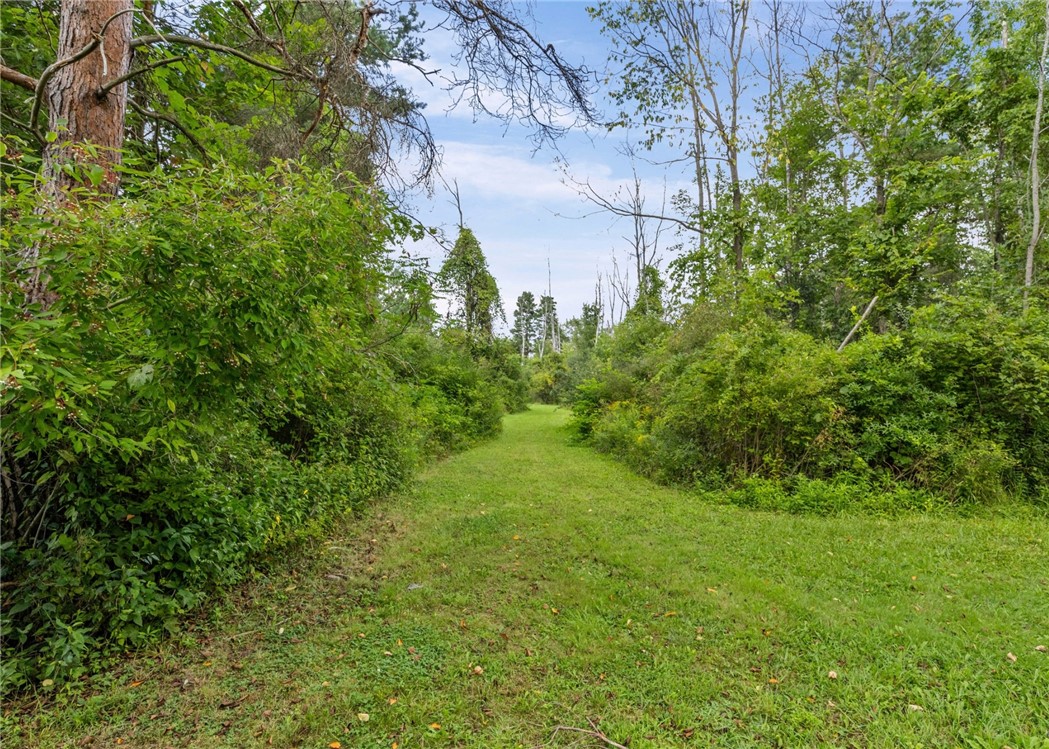 1235 Peck Road Parma, NY 14468 - Photo 44 of 49 Gallery Image 44