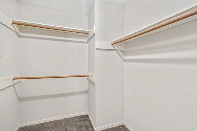 a view of a house with backyard and a tree