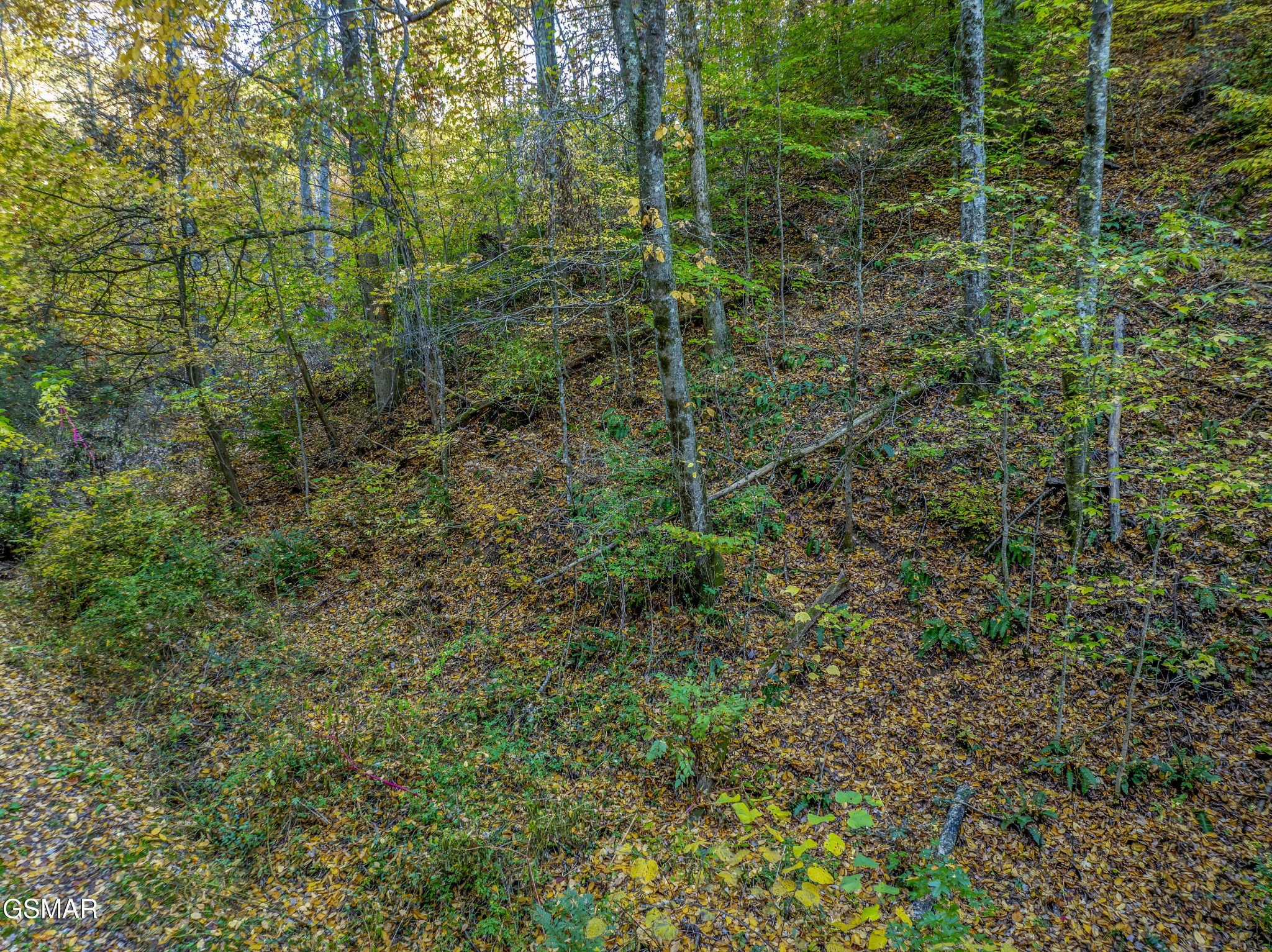 11 Long Hollow Road Sevierville, TN 37876 - Photo 16 of 23