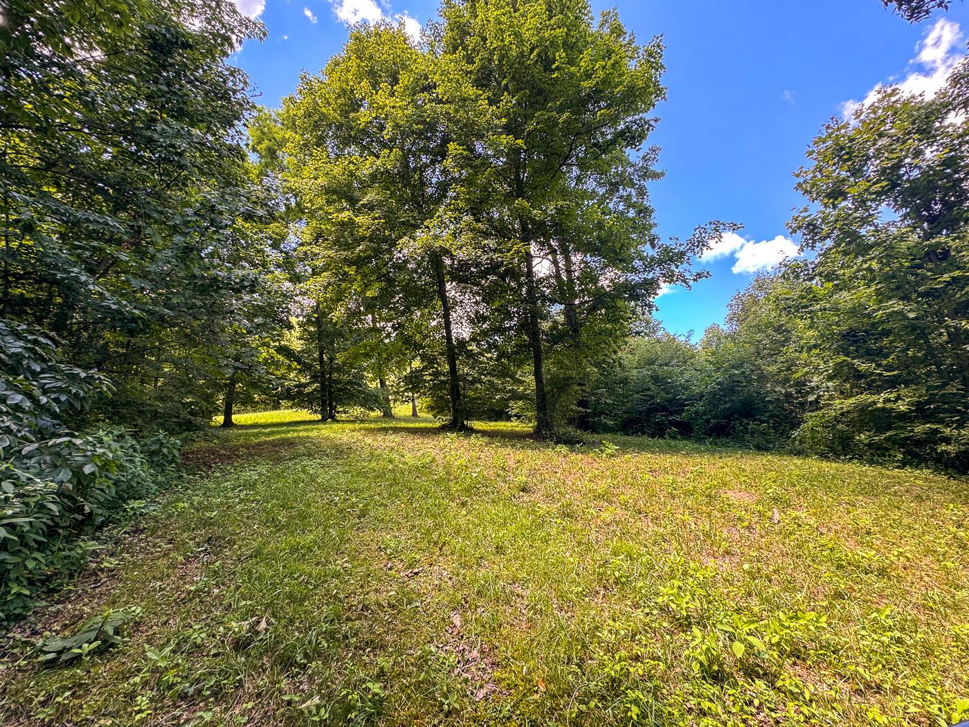 4313 Flint Ridge Road Northeast, Unit INT RIDGE TRACT 18 ACRE) Crooksville, OH 43731 - Photo 45 of 53 CT-45