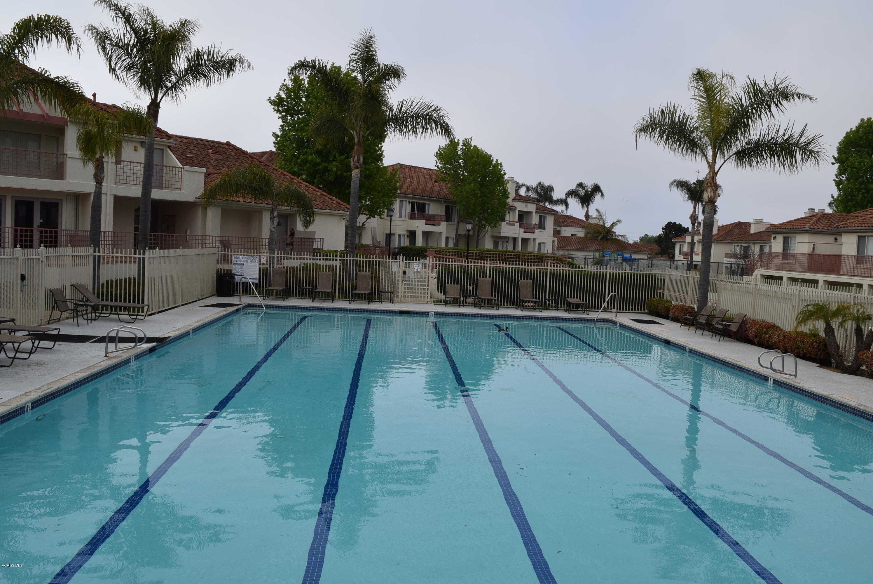 540 Ribbon Beach Way, Unit 296 Oceanside, CA 92058 - Photo 19 of 28 a view of a backyard