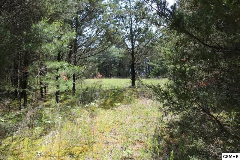 0 Lot 35 Buck Horn Road Sevierville, TN 37876 - Photo 28 of 30