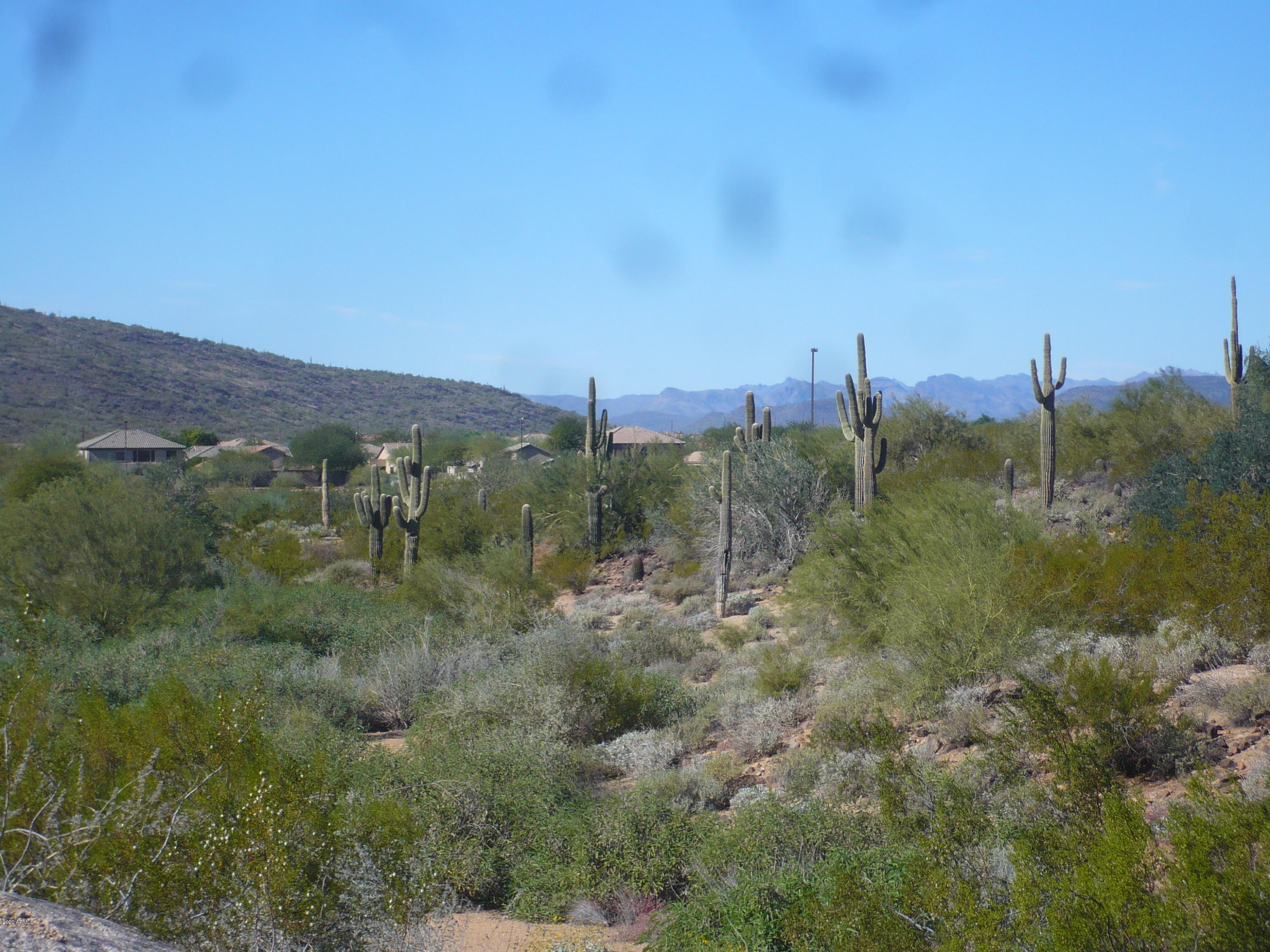 2607 West Trapanotto Road Phoenix, AZ 85086 - Photo 115 of 129 traponotto 100