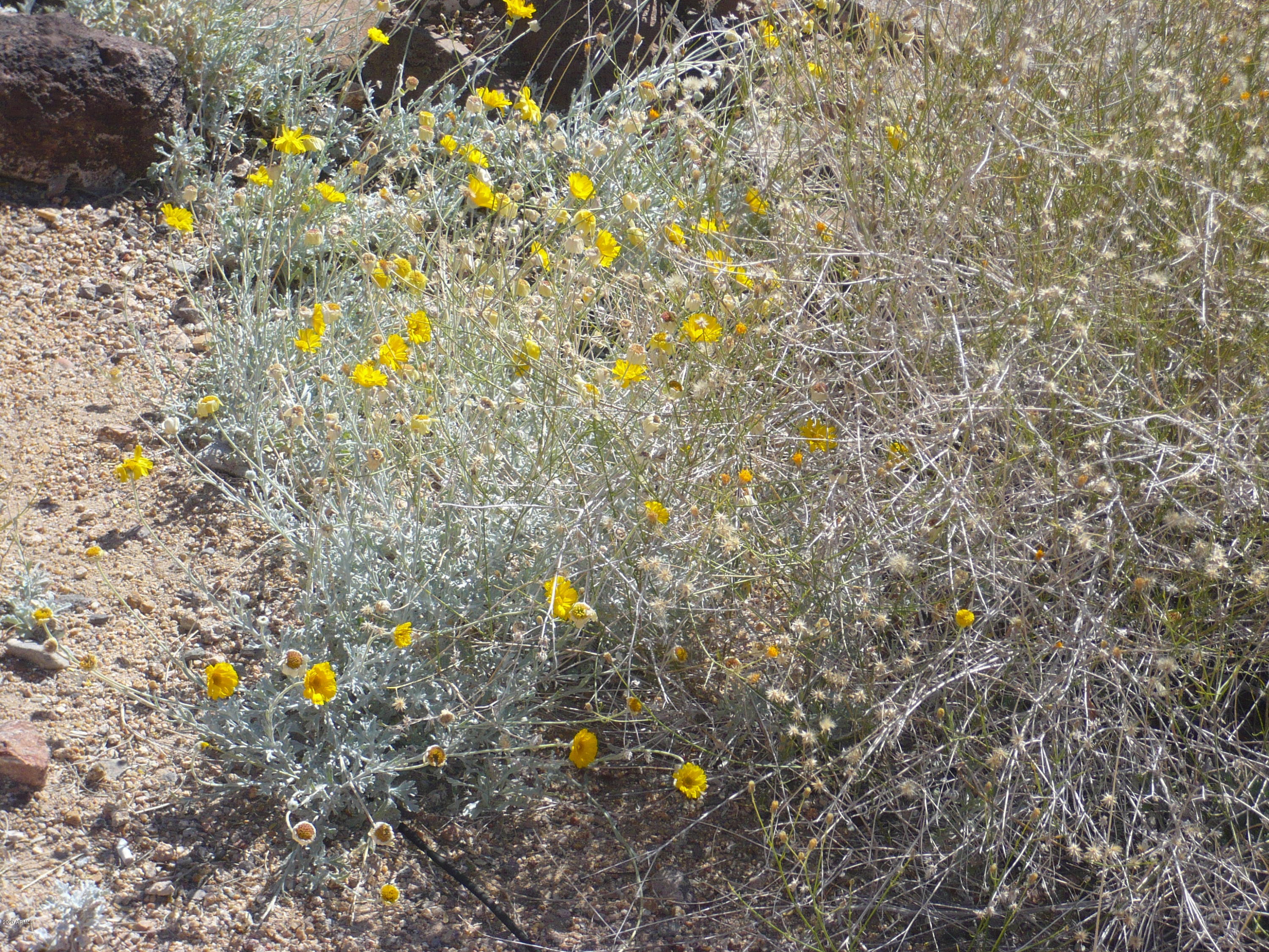 2607 West Trapanotto Road Phoenix, AZ 85086 - Photo 118 of 129 traponotto 103