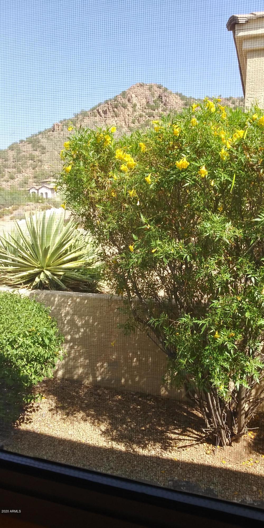 2607 West Trapanotto Road Phoenix, AZ 85086 - Photo 81 of 129 20200919_141719_HDR