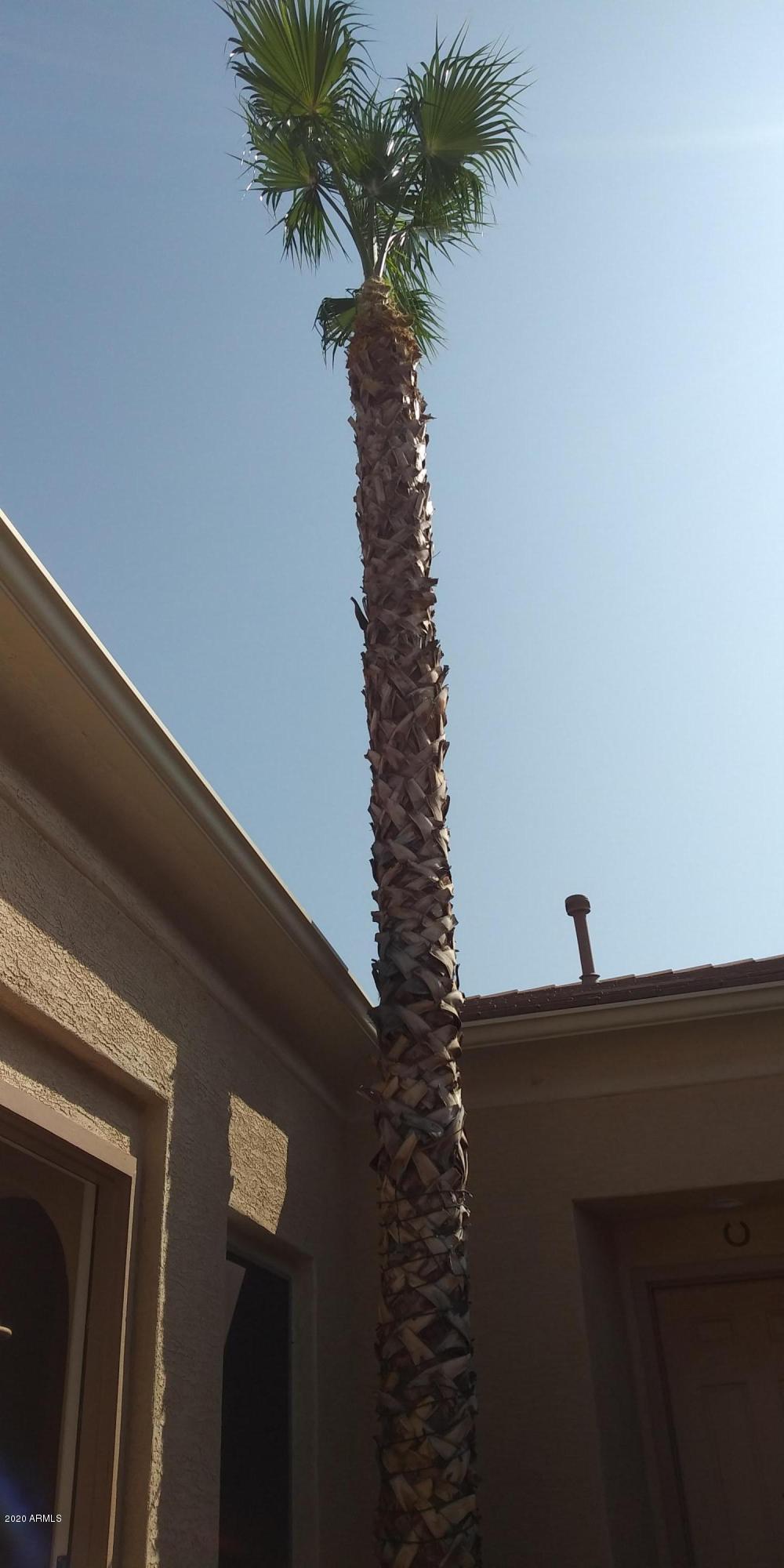 2607 West Trapanotto Road Phoenix, AZ 85086 - Photo 89 of 129 20200919_142004