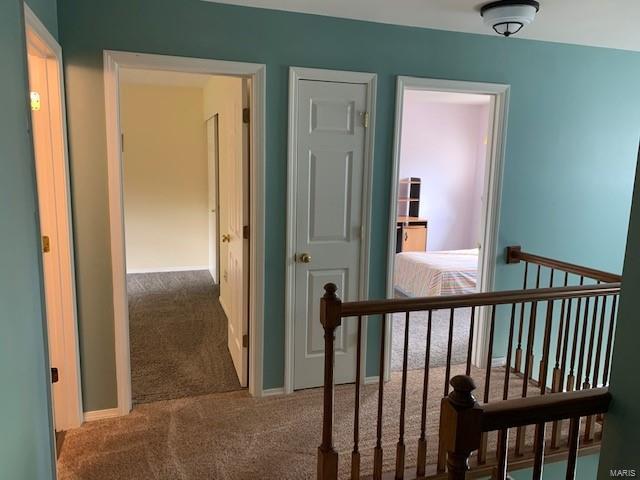 421 Arbor Spring Drive Ballwin, MO 63021 - Photo 17 of 29
