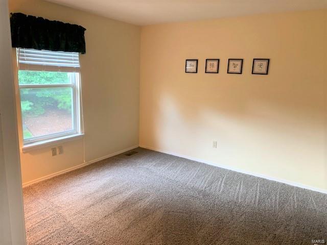 421 Arbor Spring Drive Ballwin, MO 63021 - Photo 19 of 29