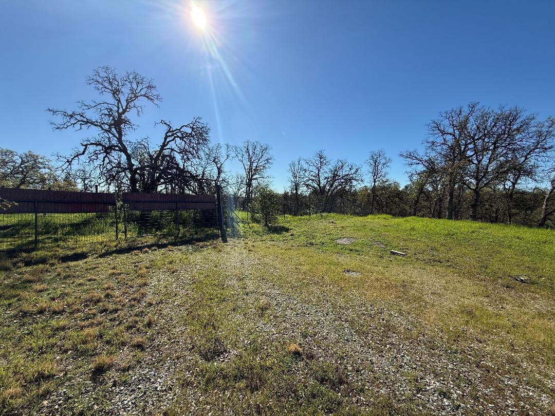 7131 Coyote Point Corning, CA 96021 - Photo 8 of 8