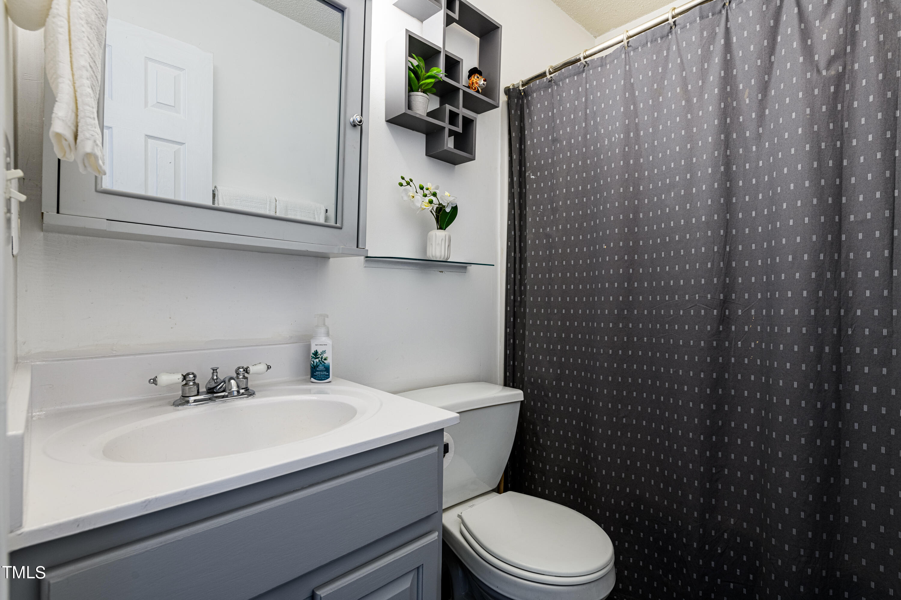 4225 Lake Woodard Drive Raleigh, NC 27604 - Photo 21 of 27 a bathroom with a sink a toilet and shower