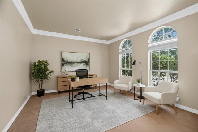 8049 Sunscape Lane Fort Worth, TX 76123 - Photo 4 of 37 a living room with furniture and a potted plant