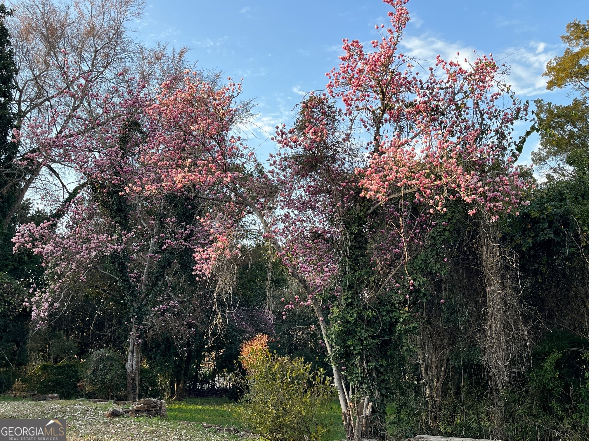 206 Broad Street LaGrange, GA 30240 - Photo 30 of 37