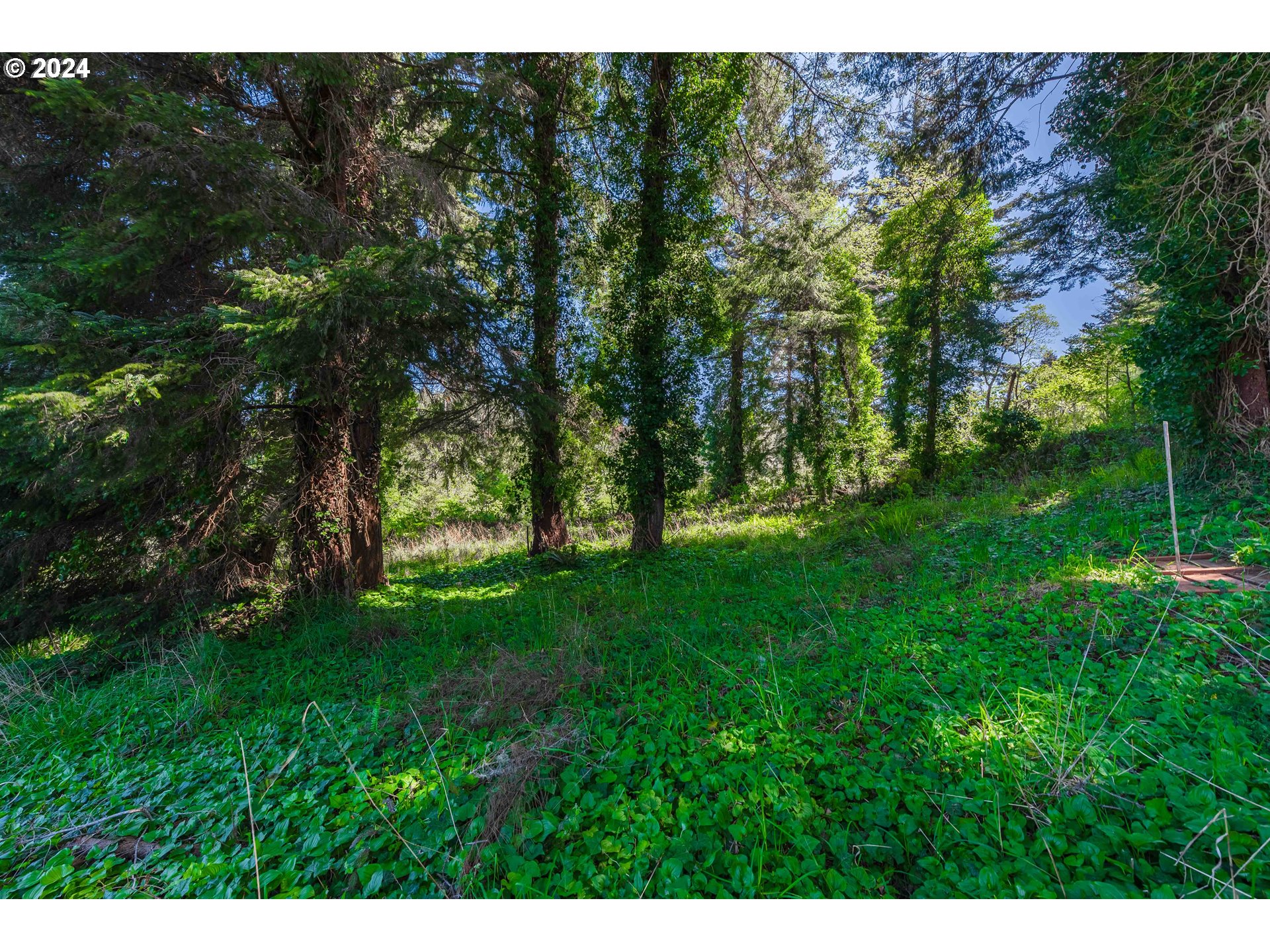 0 Cody Road Bandon, OR 97411 - Photo 1 of 21 Gallery Image 1