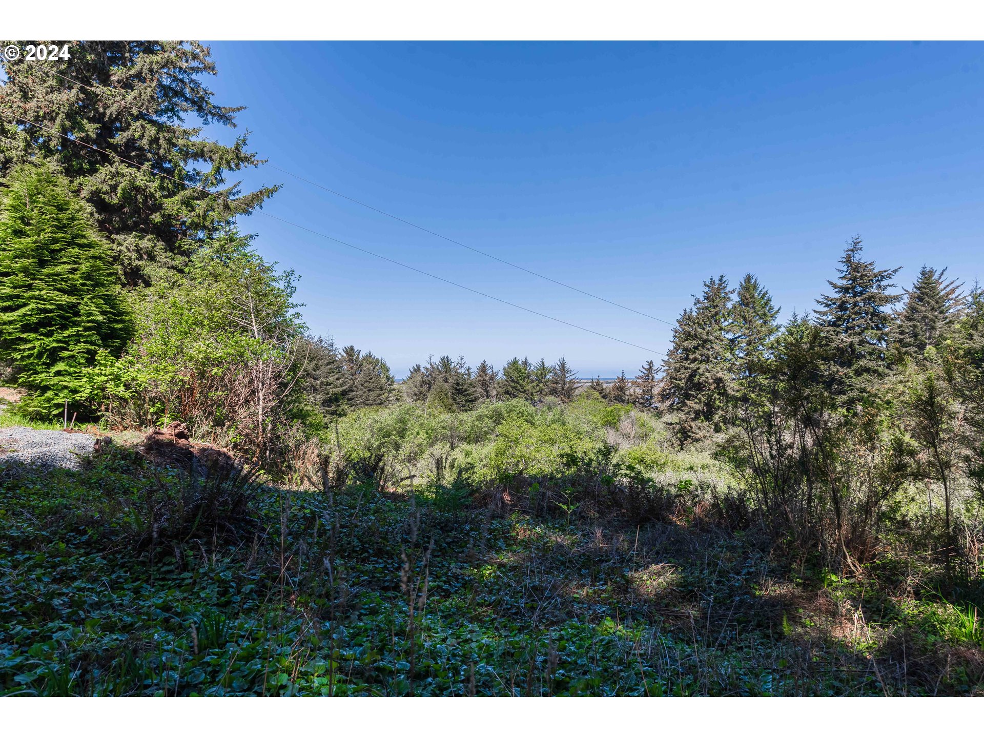0 Cody Road Bandon, OR 97411 - Photo 21 of 21 Gallery Image 21