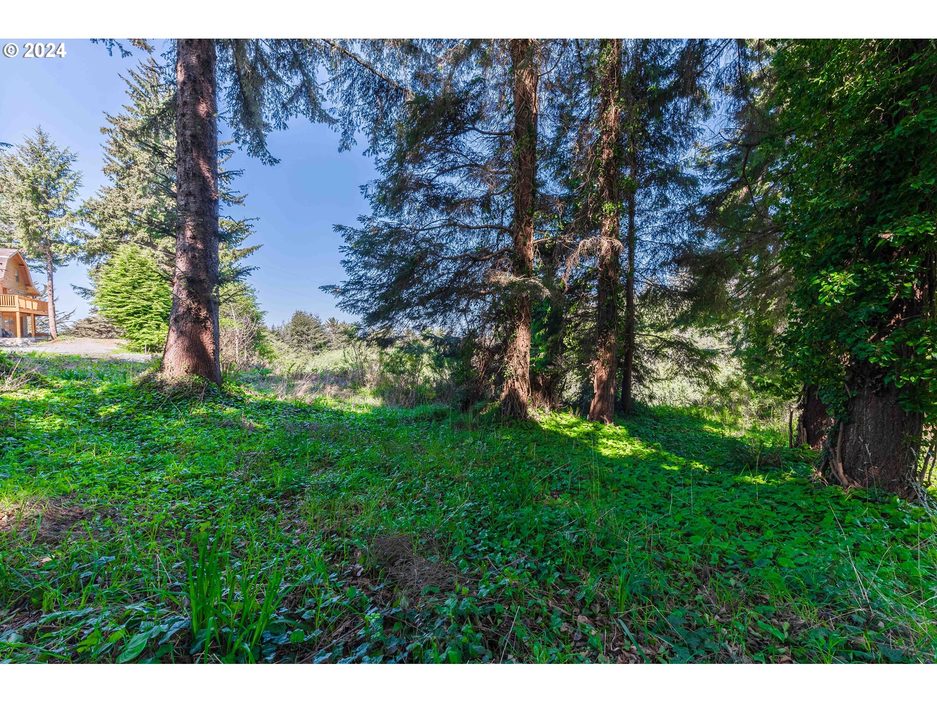 0 Cody Road Bandon, OR 97411 - Photo 5 of 21 Gallery Image 5