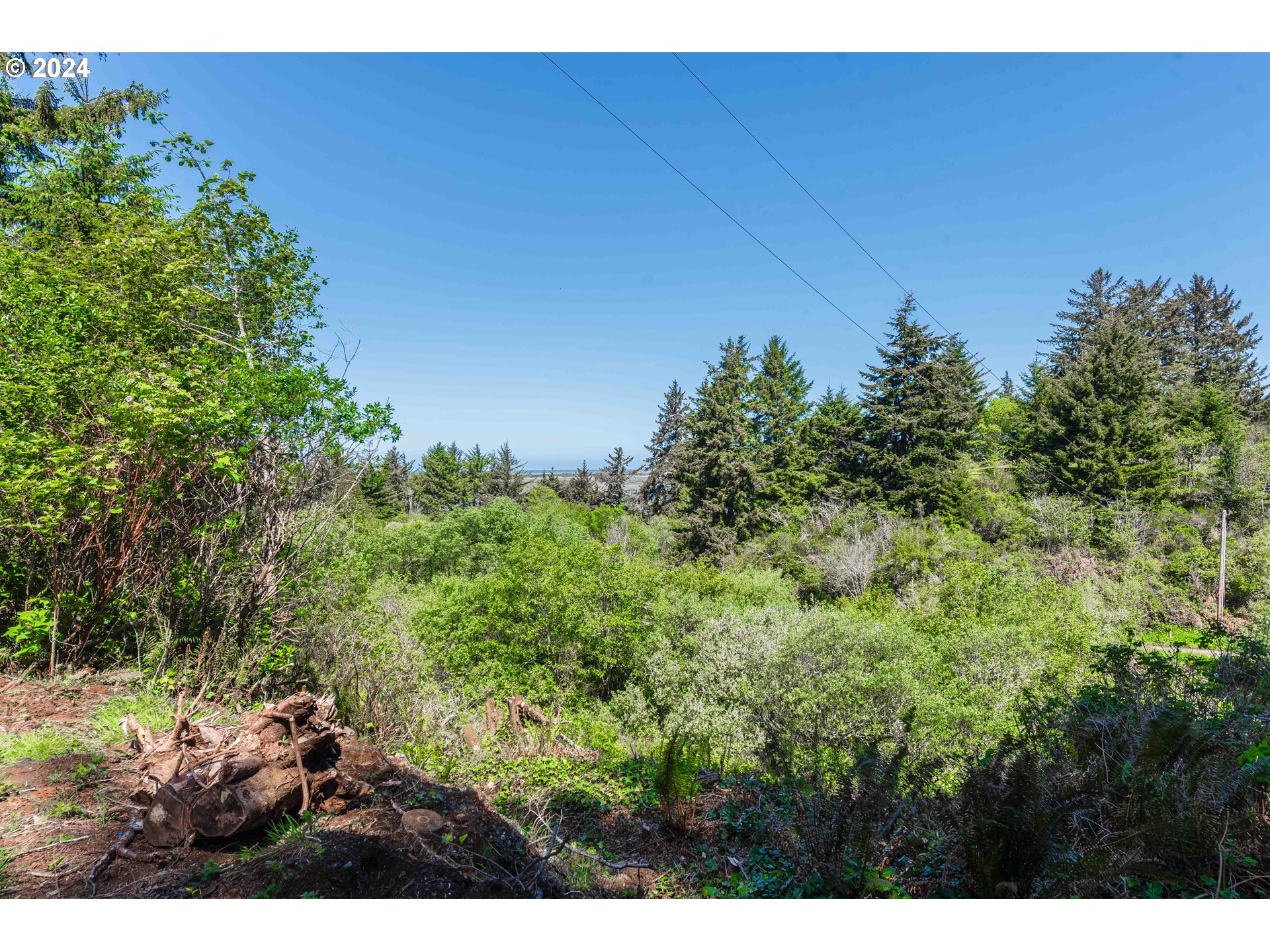 0 Cody Road Bandon, OR 97411 - Photo 6 of 21 Gallery Image 6